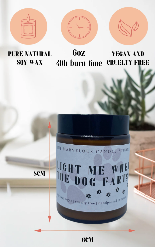 Light Me When The Dog Farts 6oz Candle