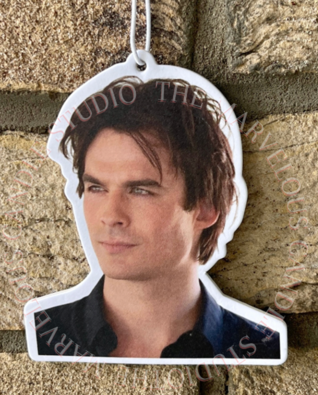 Damon Salvatore Air Freshener